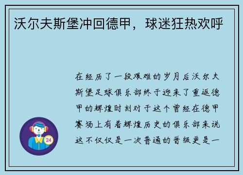 沃尔夫斯堡冲回德甲，球迷狂热欢呼
