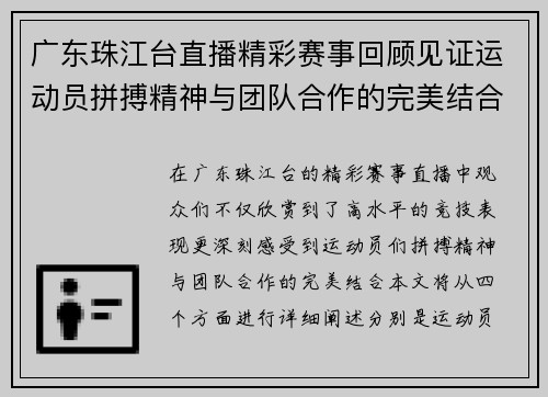 广东珠江台直播精彩赛事回顾见证运动员拼搏精神与团队合作的完美结合